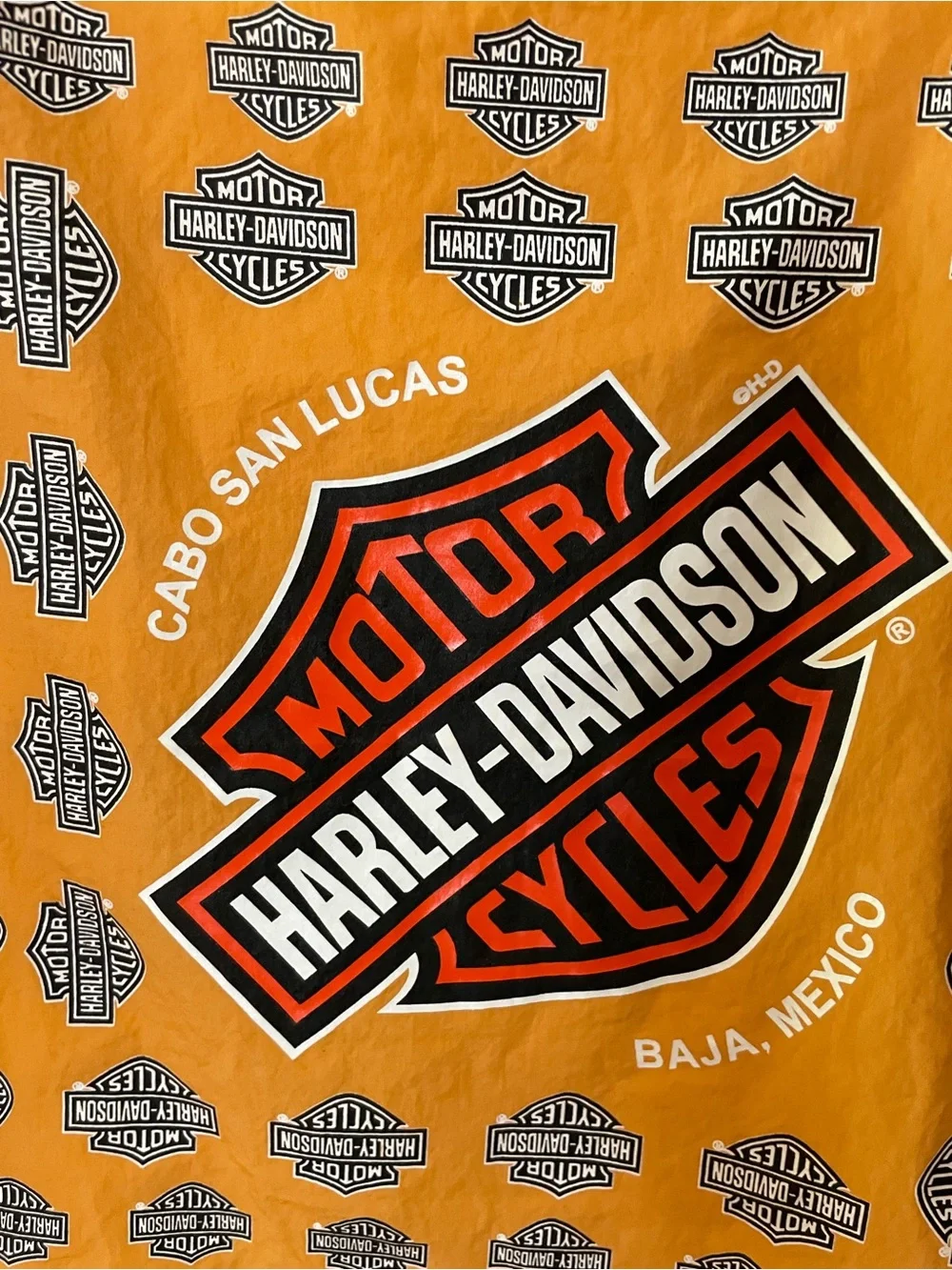 Harley-Davidson vintage harley